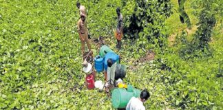 Kannur Vat center aid