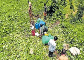 Kannur Vat center aid