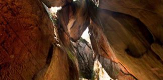 Protection of the Edaikkal cave; The study was conducted by a team of experts