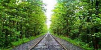 เดจเดฟเดฒเดฎเตเดชเตเตผ เดชเดพเดคเดฏเดฟเตฝ เดตเตเดฆเตเดฏเตเดคเตเดเดฐเดฃเด เดเดเตป เดชเตเตผเดคเตเดคเดฟเดฏเดพเดเตเด; เดตเดฟเดเดธเดจเด เด
เดคเดฟเดตเตเดเด Electrification of Nilambur road to be completed soon; Development is rapid