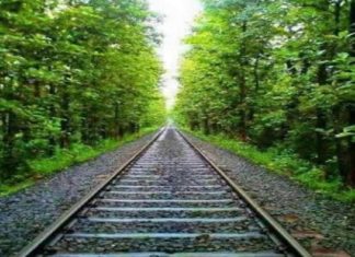 നിലമ്പൂർ പാതയിൽ വൈദ്യുതീകരണം ഉടൻ പൂർത്തിയാകും; വികസനം അതിവേഗം Electrification of Nilambur road to be completed soon; Development is rapid