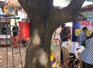 സമരങ്ങൾക്ക് തണലായി പത്ത് വർഷം; ‘ഒപ്പുമരം’ ഇനി ഓർമകളിലേക്ക് tree is being cut down