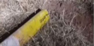 കണ്ണൂരിൽ സിൽവർ ലൈനിന്റെ സർവേ കല്ലുകൾ പിഴുതുമാറ്റിയ നിലയിൽ Silver Line in Kannur