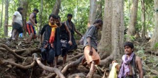 Karimala Path Opened For Sabarimala Pilgrims