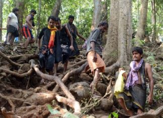കാനന പാതകളിലൂടെ എത്തുന്ന തീർഥാടകർക്ക് പ്രത്യേക ക്രമീകരണങ്ങൾ; ടാഗ് നൽകും Karimala Path Opened For Sabarimala Pilgrims