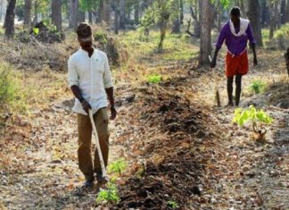 muthanga-fire-breaking-system