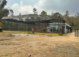 Palliative care unit for tigers; Wayanad