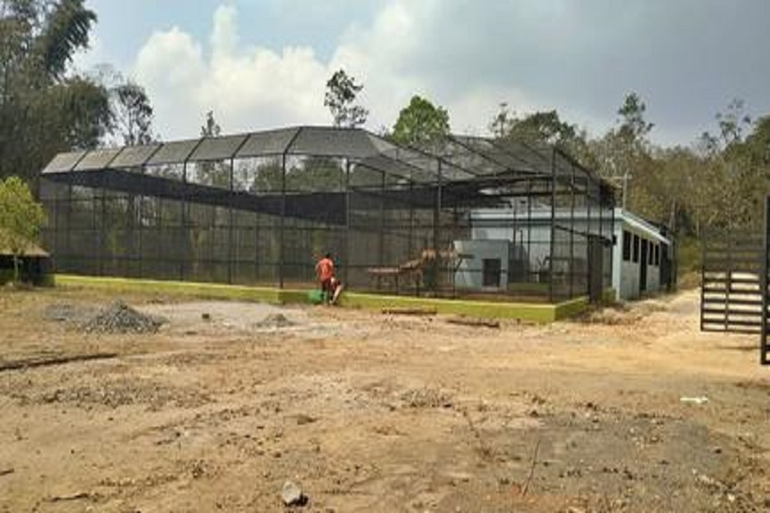 Palliative care unit for tigers; Wayanad