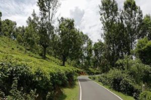 Mulli-Ooty road