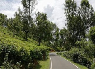 Mulli-Ooty road