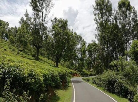 മുള്ളി-ഊട്ടി പാത അടച്ച് തമിഴ്നാട് വനംവകുപ്പ്; വിലക്ക് വിനോദ സഞ്ചാരികൾക്ക് Mulli-Ooty road