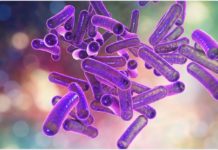 സംസ്ഥാനത്ത് നിലവിൽ ഷിഗല്ല സ്ഥിരീകരിച്ചിട്ടില്ല; ആരോഗ്യവകുപ്പ് മന്ത്രി Shigella Not Confirmed in Kerala Said Health Minister