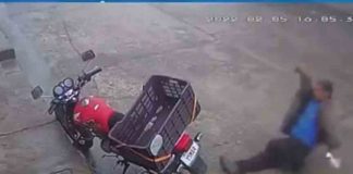 നായയെ അകാരണമായി ചവിട്ടാൻ ശ്രമിച്ച യുവാവ് മലർന്നടിച്ചു വീണു; വീഡിയോ വൈറൽ The young man, who tried to kick the dog, fell to the ground; Video goes viral