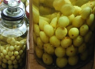 ഉപ്പിലിട്ട വിഭവങ്ങളുടെ വില്പന നിരോധിച്ച നടപടി; പ്രതിഷേധവുമായി വ്യാപാരികള്