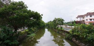 cannoli canal development the face of malabar will change