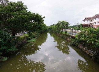 കനോലി കനാലിന്റെ നവീകരണം; മലബാറിന്റെ മുഖഛായ മാറുമെന്ന് മന്ത്രി cannoli canal development the face of malabar will change