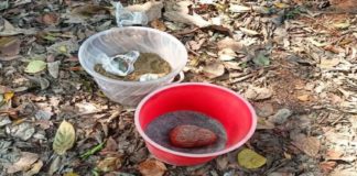 തലശേരിയിൽ ബോംബുകൾ ഉപേക്ഷിക്കപ്പെട്ട നിലയിൽ; അന്വേഷണം ആരംഭിച്ചു Bomb Found In Thalassery In Kannur