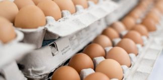 ഇന്ത്യയിൽ നിന്നും മുട്ട കയറ്റുമതിക്ക് ഏർപ്പെടുത്തിയ നിരോധനം നീക്കി യുഎഇ UAE Withdrawn The Prohibition Of Eggs Imports From India