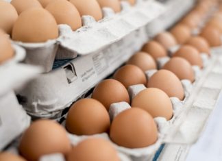 UAE Withdrawn The Prohibition Of Eggs Imports From India
