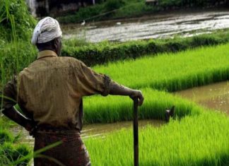 Japti Notice To Farmers