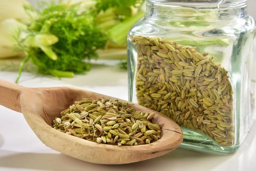 Health Benefits Of Fennel Seeds And Effective Way To Weight Loss Health Benefits Of Fennel Seeds And Effective Way To Weight Loss