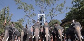 Anayottam At Guruvayur Temple In Covid Situation