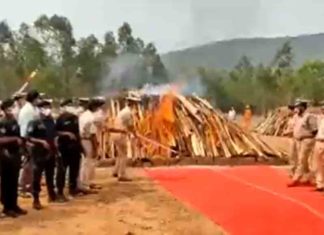 500 crore worth of cannabis destroyed in Visakhapatnam