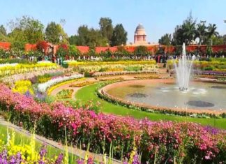 Mughal Garden Opens For Public From Today