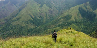 เด
เดจเตเดฎเดคเดฟ เดเตเดเดพเดคเตเดฏเตเดณเตเดณ เดเตเดฐเดเตเดเดฟเดเดเต; เดจเดฟเดฐเตเดงเดจเด เดเตผเดชเตเดชเตเดเตเดคเตเดคเดฟ เดเดเตเดเตเดเดฟ Trekking Without Permission Bans In Idukki District