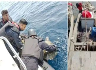 6 Pak Natives Were Arrested In Gujarat And 11 Pak Boats Seized