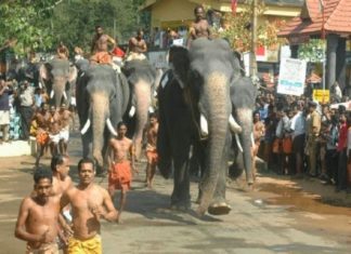 ഗുരുവായൂർ ആനയോട്ടം; കോവിഡ് മാനദണ്ഡങ്ങൾ പാലിച്ച് തിങ്കളാഴ്ച നടത്തും Anayottam At Guruvayur Temple Will Be On Monday