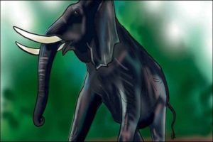 Wild Elephant Attack