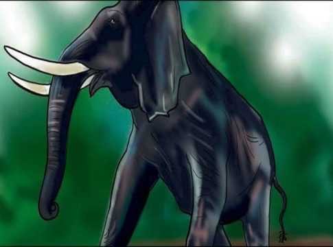 ആറളം ഫാമിൽ കാട്ടാനയുടെ ആക്രമണത്തിൽ യുവാവിന് ദാരുണാന്ത്യം Wild Elephant Attack