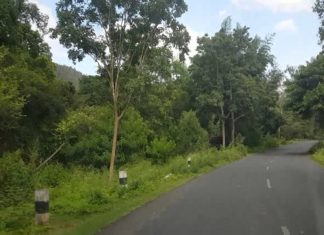 Satyamangalam Tiger Reserve night travle banned