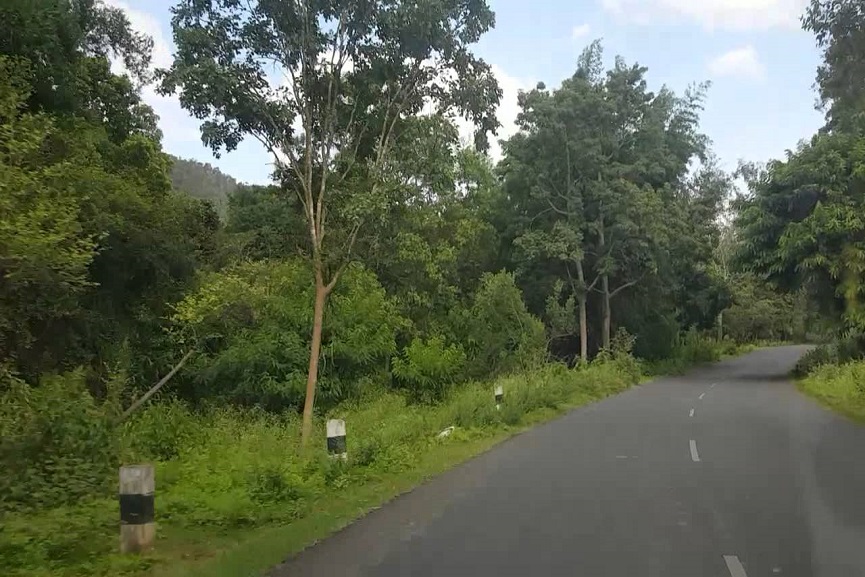 Satyamangalam Tiger Reserve Satyamangalam Tiger Reserve night travle banned