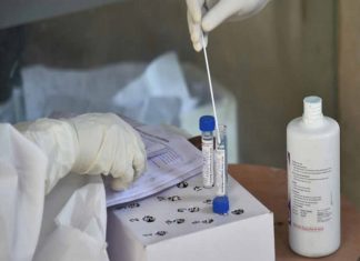 സംസ്ഥാനത്ത് കോവിഡ് പരിശോധനക്കും, സുരക്ഷാ സാമഗ്രികൾക്കും വില കുറച്ചു Covid Test Rates And Rate Of Mask And PPE Kit Decreased In Kerala
