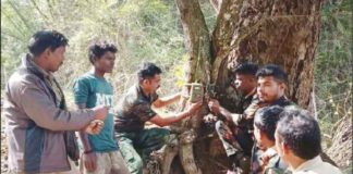 เดฎเตเดคเตเดฎเดฒ เดเตพเดชเตเดชเดเตเดฏเตเดณเตเดณ เดฎเตเดเดฒเดฏเดฟเตฝ เดตเดจเตเดฏเดเตเดตเดฟ เดธเตผเดตเต เดเดฐเดเดญเดฟเดเตเดเต Survey In Muthumala Wild Life Santuary In Wayanad