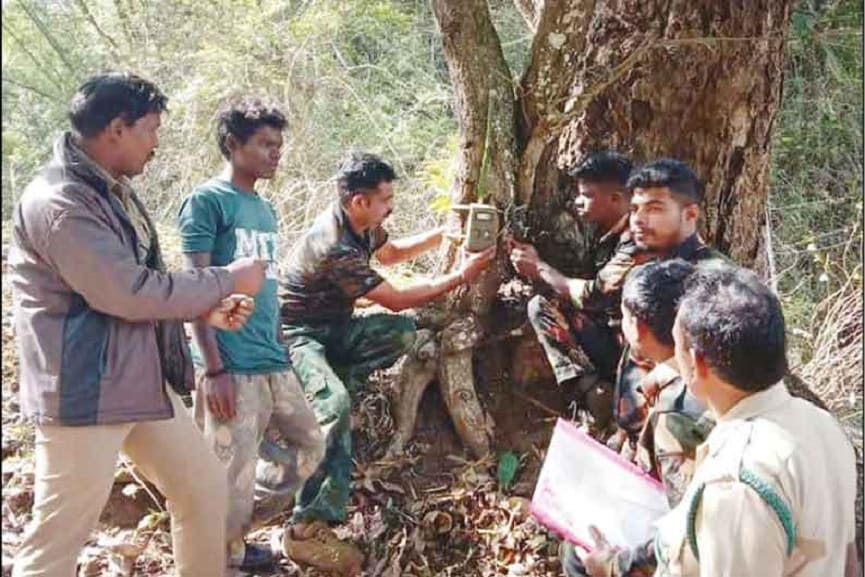 Survey In Muthumala Wild Life Santuary In Wayanad Survey In Muthumala Wild Life Santuary In Wayanad