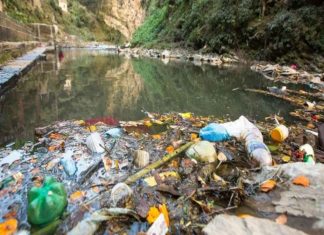 പുഴയിൽ അഴുകിയ മൽസ്യവും മാലിന്യവും തള്ളുന്നത് പതിവാകുന്നു; പരാതി waste dump into river complaint