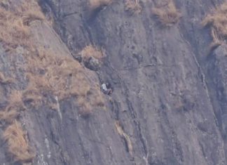 เดฎเดฒเดฏเดฟเตฝ เดเตเดเตเดเตเดเดฟเดฏ เดฏเตเดตเดพเดตเดฟเดจเต เดญเดเตเดทเดฃเด เดเดคเตเดคเดฟเดเตเดเดพเดจเตเดณเตเดณ เดถเตเดฐเดฎเด เดชเดพเดดเดพเดฏเดฟ; เดเดถเดเตเด