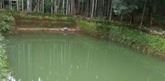 Serious violation of law under the guise of Palakkad land grading