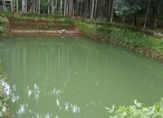 เดชเดพเดฒเดเตเดเดพเดเต เดญเตเดฎเดฟ เดคเดฐเดเดฎเดพเดฑเตเดฑเดฒเดฟเดจเตเดฑเต เดฎเดฑเดตเดฟเตฝ เดเดเตเดคเตเดค เดจเดฟเดฏเดฎเดฒเดเดเดจเด; เดเตเดณเด เดชเดฑเดฎเตเดชเดพเดเตเดเดฟ Serious violation of law under the guise of Palakkad land grading