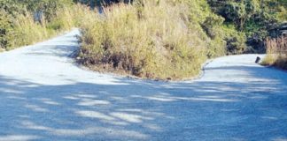 เดเตเดเตเดเดฟเดฏเตเตผ-เดชเดพเตฝเดเตเดฐเด-เดตเดฏเดจเดพเดเต เดเตเดฐเด เดชเดพเดค เดจเดพเดณเต เดฎเตเดคเตฝ เดญเดพเดเดฟเดเดฎเดพเดฏเดฟ เดคเตเดฑเดเตเดเตเด The Kottiyoor-Palchuram-Wayanad pass road will be partially opened from tomorrow