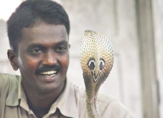 ആരോഗ്യനില മെച്ചപ്പെട്ടു; 3 ദിവസത്തിനകം വാവ സുരേഷിന് ആശുപത്രി വിടാമെന്ന് പ്രതീക്ഷ Health Condition Of Vava Suresh More Improved After Snake Bite