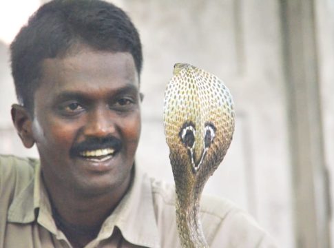 Health Condition Of Vava Suresh More Improved After Snake Bite