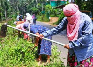 തൊഴിലുറപ്പ് പദ്ധതിയിൽ ഒരുകോടി തൊഴിൽദിനമെന്ന നേട്ടത്തിലേക്ക് കോഴിക്കോട് ജില്ല Thozhilurappu scheme