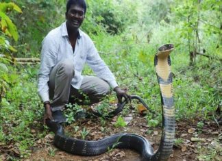 ആരോഗ്യനില തൃപ്തികരം; അടുത്ത 48 മണിക്കൂർ നിർണായകമെന്ന് ഡോക്ടർമാർ Next 48 Hours Is Important For Vava Sureshs Health Condition