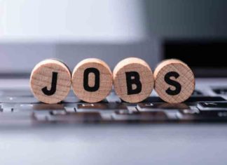 Budget 2022; 60 lakh jobs, 400 new Vande Bharat train services