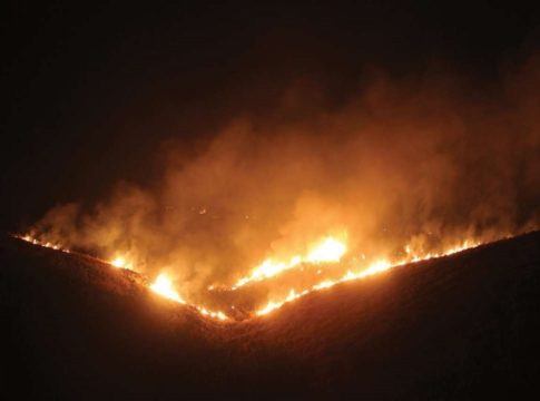 Wildfire at tiger sanctuary in Rajasthan; Intense effort to extinguish