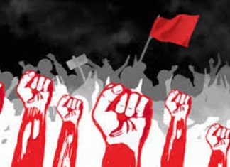 പാലക്കാട് കെഎസ്ഇബി ജീവനക്കാർക്ക് നേരെ അതിക്രമം; ഏഴ് പേർക്ക് പരിക്ക് national strike